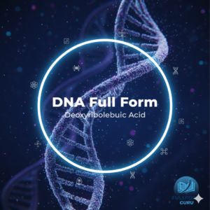 Full form of dna